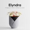 Elyndra – Wrapped in Form. Defined by Color