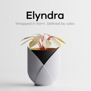 Elyndra – Wrapped in Form. Defined by Color