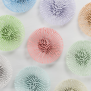 Coral Catch-All Bowl organic decorative storage bowl